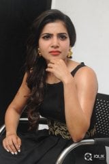 Samantha Interview About Son Of Sathyamurthy Movie